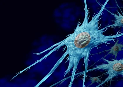 Microscopic view of stem cells with branching structures, illustrating regenerative healing potential relevant to advanced wound care treatments.